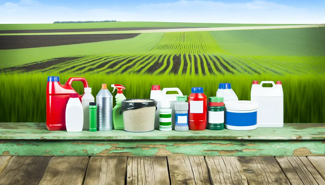 Cánh đồng lúa Mộc Châu được chăm sóc bởi bà con dân tộc Thái.