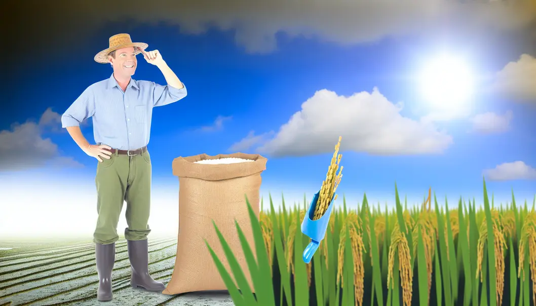 Cánh đồng lúa xanh tươi dưới ánh nắng, cùng với sản phẩm thuốc bảo vệ từ Lân Tuyển.