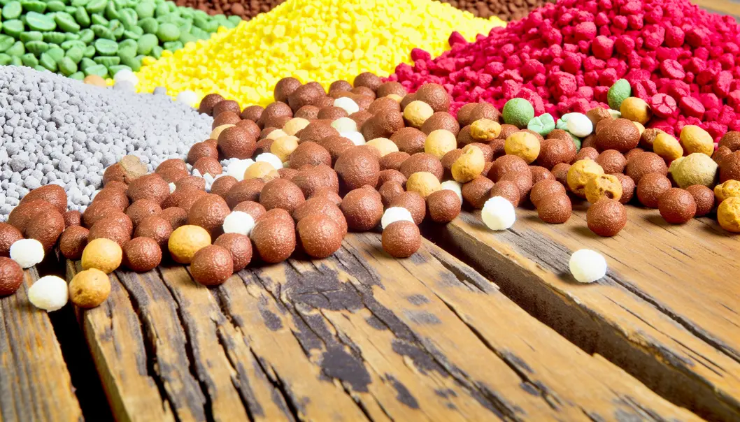 Vườn cà phê xanh tươi ở huyện Mai Sơn, Sơn La.