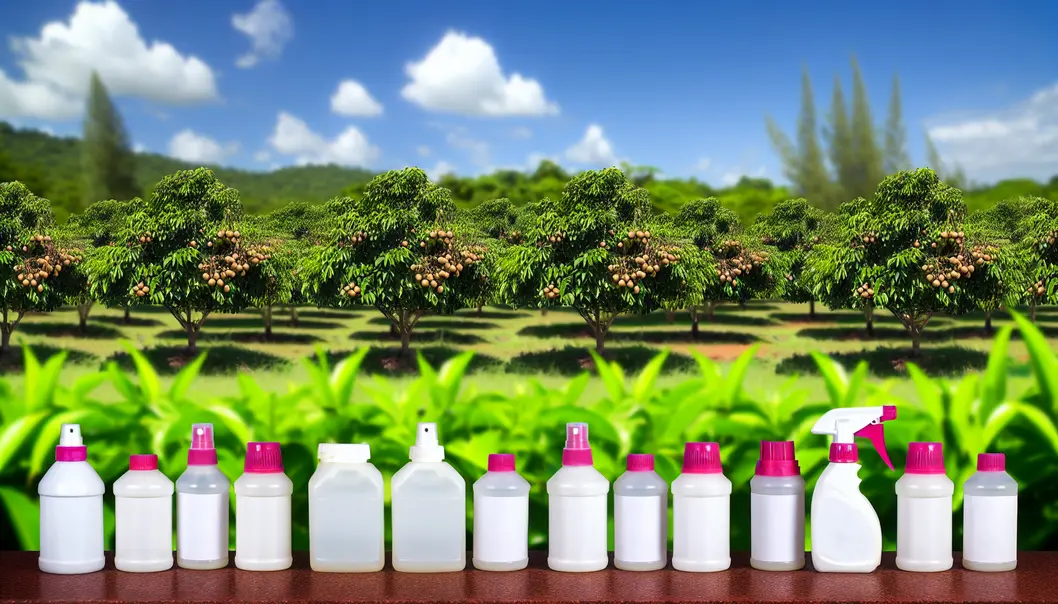 Common pests affecting longan trees in Sông Mã.