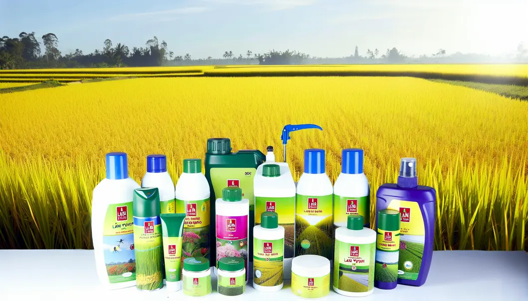 Người nông dân tại Mộc Châu kiểm tra cây lúa trên cánh đồng.