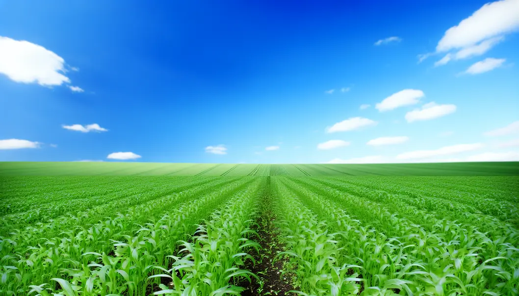 Lush green fields thriving due to effective fertilizer use.