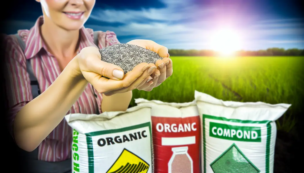 A farmer explores different types of fertilizers to choose the best for crops.